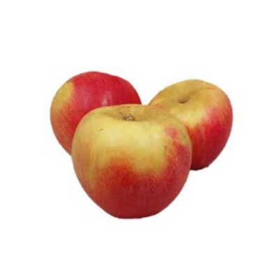 Alkmene appel