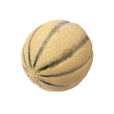 Cantaloupe meloen