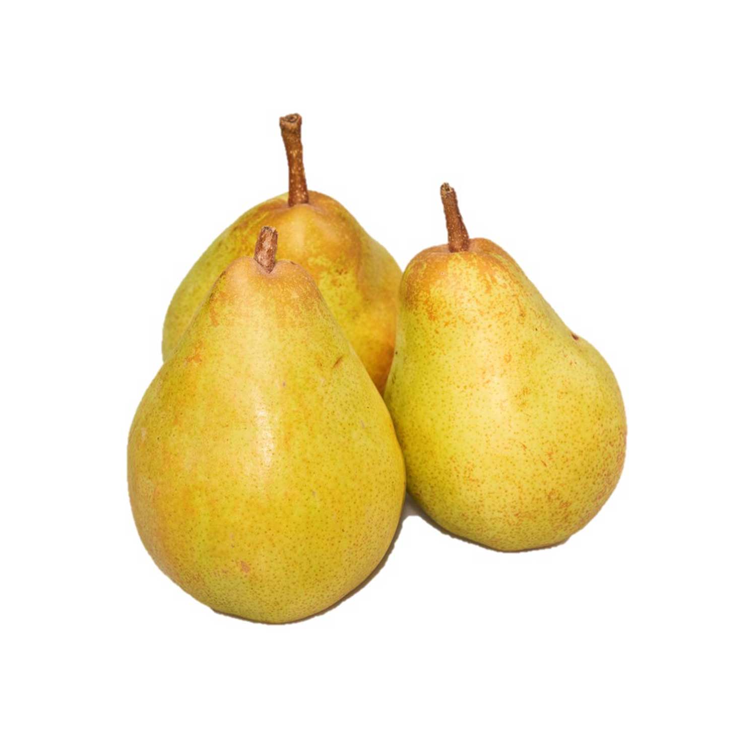 Doyenné du Comice - Afbeelding 2