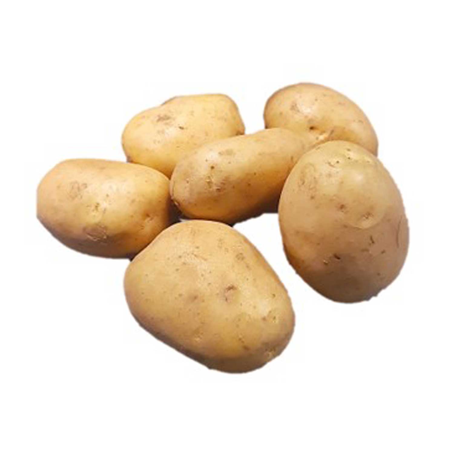 Malta import