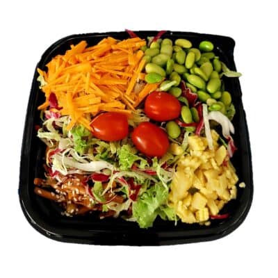 Vegan noedel teriyaki